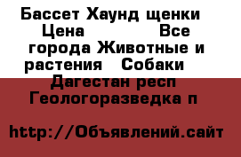 Бассет Хаунд щенки › Цена ­ 20 000 - Все города Животные и растения » Собаки   . Дагестан респ.,Геологоразведка п.